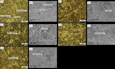 Study on Corrosion Resistance and Welding Properties of High Strength, Tough Bainite Steel CB10